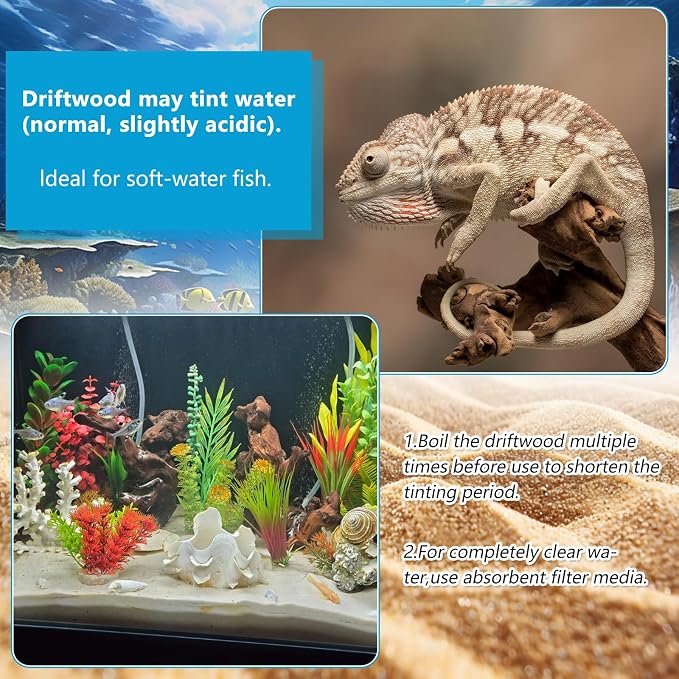 3 PCS Large Natural Aquarium Driftwood 8-10", Aquarium Drift Wood for Fish Tank Decoration, Assorted Size Mopani Wood Twisted Branches Trunk Decor for Freshwater, Reptile Terrarium