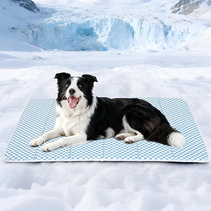 Cooling Dog Mat Q-Max>0.5 - Rapid Cooling Tech, Thin Breathable Crate Pad, Portable Washable Summer Mat, Chill Soothing Fabric - 35"x23" Large Dog, Blue