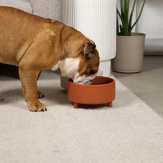 Waggo Uplift Ceramic Dog Bowl for Small Medium and Large Breeds - Heavyweight and Durable Pet Food and Water Dish Crock, Dishwasher Safe, Modern, Elevated Feeder (Olive, Large)
