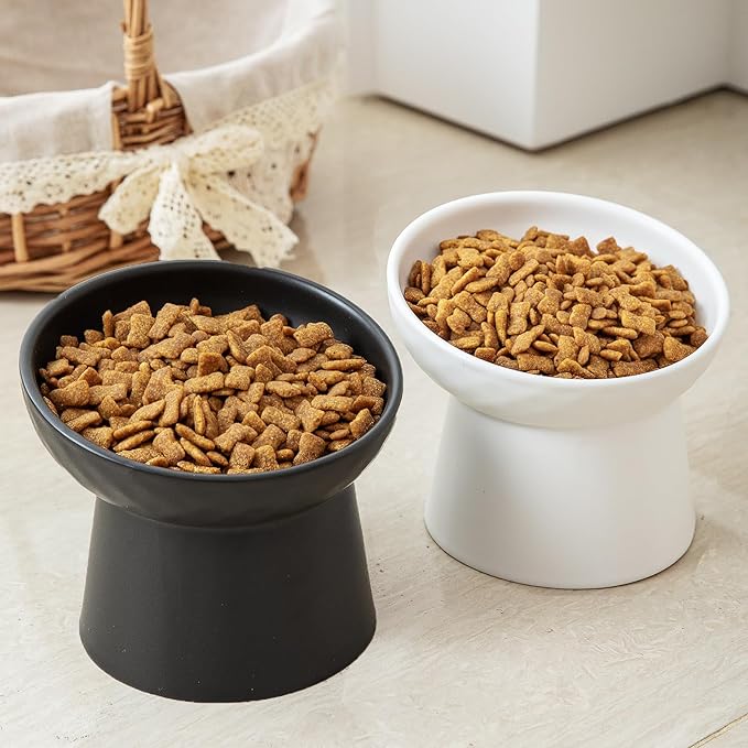 6 inch Small Ceramic Raised Cat Bowls, Tilted Elevated Food or Water Bowls, Stress Free, Backflow Prevention, Dishwasher and Microwave Safe, Lead & Cadmium Free(White 6 inch 2pc)