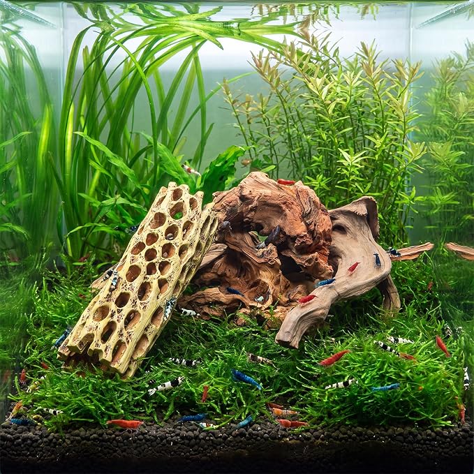 Layhit 6 Pcs Aquarium Driftwood and Cholla Wood, Fish Shrimp Tank Decor | 4-9" Natural Driftwood for Aquarium Decor, 2" x 5.7" Shrimp Hides Resin Cholla Wood, Reptile Hermit Crab Tank Accessories