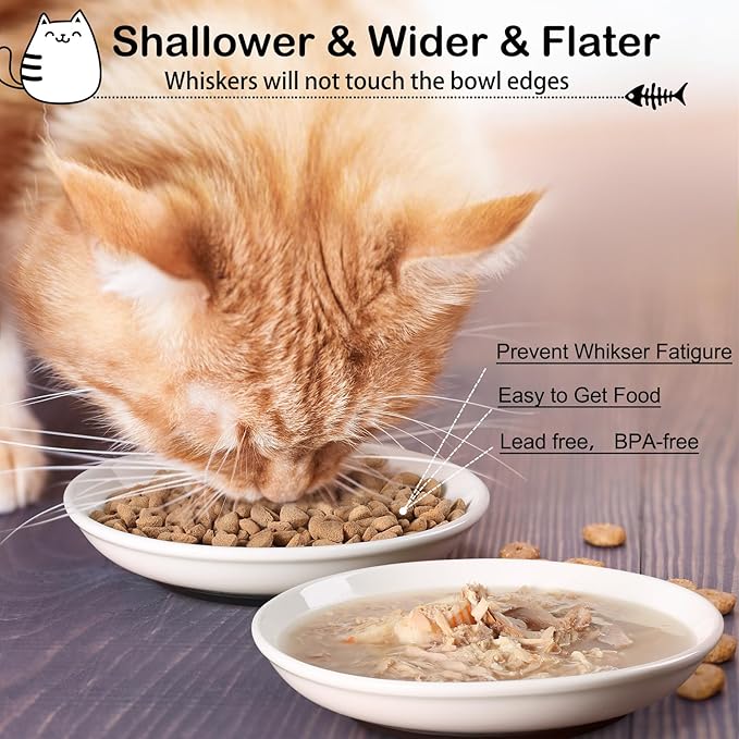 WROSWT Cat Food Bowl,Healthy Ceramic Cat Bowls for Indoor Cats,Anti Whisker Fatigue Cats Dishes Set,Shallow Wide Kitten Plates for Food and Water,Non-Slip Silicone Bottom,6 Pack