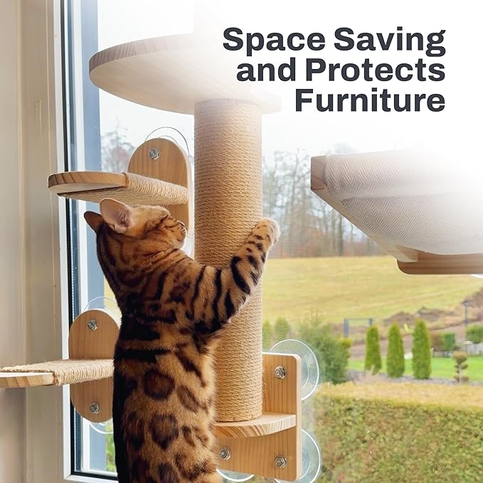 4-in-1 Window & Wall Mount Cat Wall Shelves – Hammock, Scratching Post & Perch | Fits up to 40 lbs | Space-Saving Pet Furniture for Windows, Glass & Drywall | Modern Wood Cat Shelf Set