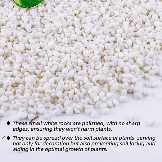 CJGQ 7lb 1/4" Small White Rocks for Plants,Potting,Succulents Aquarium Fish Tank Garden Vases Decorative Pebbles Gravel Rocks Stones