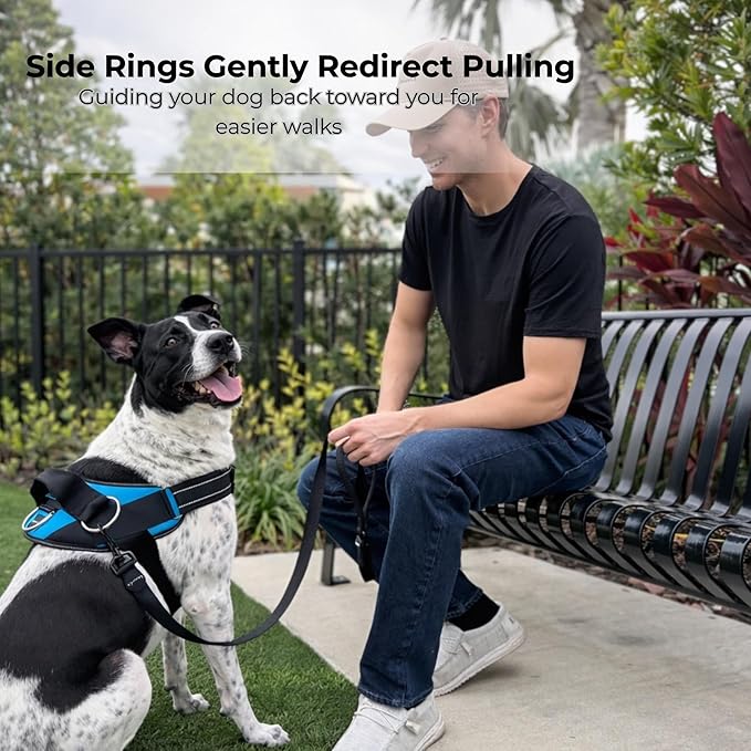 ShawnCo Essential Dog Harness, No-Pull Pet Vest with 3 Leash Clips, No Choke, Reflective, Adjustable and Padded, for Easy Walking and Training for Small, Medium and Large Dogs (Dark Camo, S)