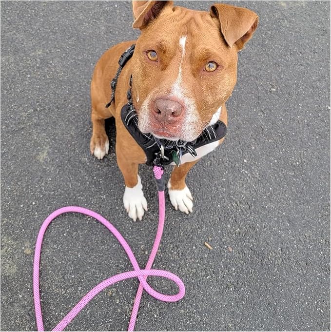 MayPaw Heavy Duty Rope Dog Leash, 3/6/8/10FT Nylon Pet Leash, Soft Padded Handle Thick Lead Leashes for Large Medium Dogs (Pink-Blue dot, 1/2" * 6')