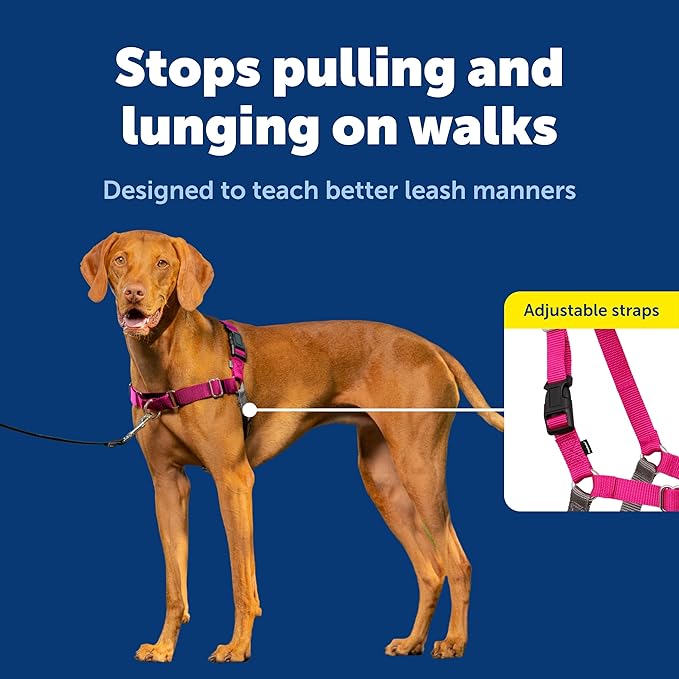 PetSafe Easy Walk Harness for Dogs - Pull-Free Walks - Patented Martingale Loop Design - Front Chest Leash Attachment - Adjustable Comfort Straps - Breathable Harness Design - Medium, Raspberry/Gray