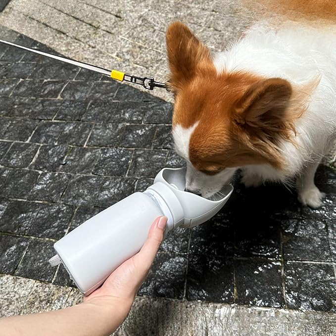 BlueDreamer Portable Dog Water Bottle, Collapsible Pet Water Dispenser with Wide Mouth Design, Leak Proof, Gray, 18.6 oz
