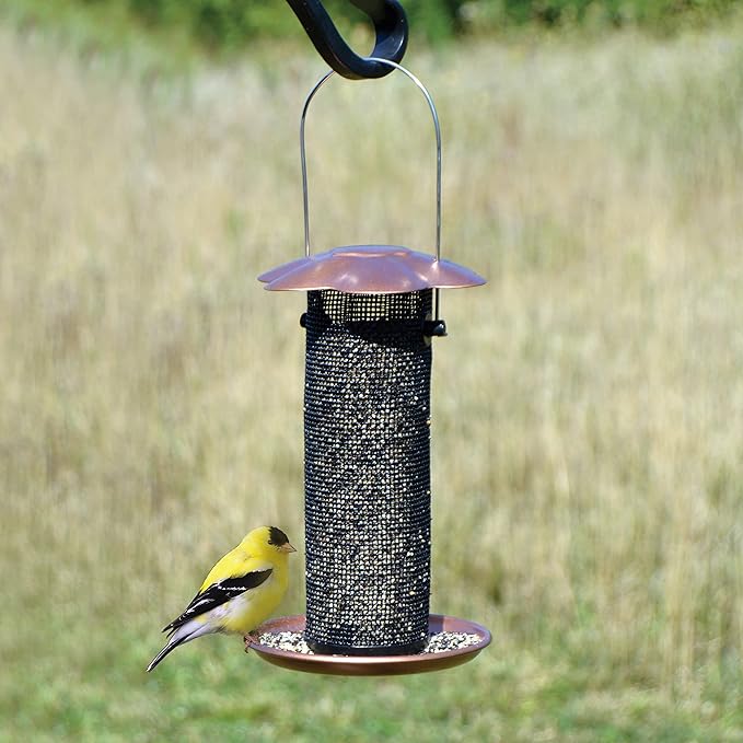 Songbird Essentials Gold Finch Feeder for Outdoor Hanging - Petite Nyjer Thistle Seed Feeder - All Metal - for Finches and Buntings for Outdoor Garden - Brushed Copper