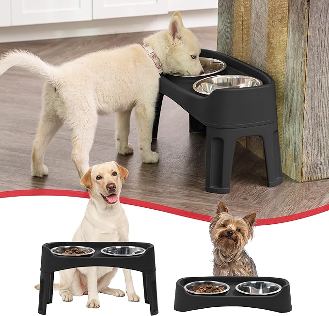 IRIS USA Elevated Dog Bowls Adjustable Stand, Raised Feeding Station with 2 Stainless Steel 64 oz Bowls, Spill Guard, Dual Height 12.25" or 4.63", Made in USA, Black