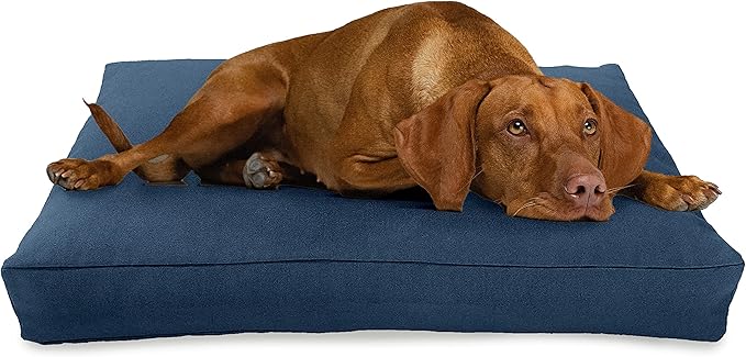 XX-Small - 18 x 12 x 4 - Blueberry Premium Organic Hemp Dog Bed - CertiPUR Fill - Removeable Cover