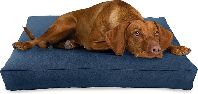 XX-Large - 54 x 36 x 6 - Blueberry Premium Organic Hemp Dog Bed - Organic Latex Fill - Removeable Cover