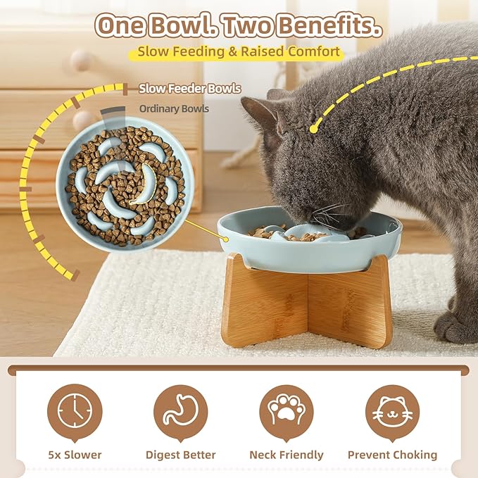 Elevated Slow Feeder Cat Bowl - Ceramic Cat Food Dish with Anti-Slip Bamboo Stand - Whisker Friendly Feeding Bowl - Raised Maze Plate for Slow Down Eating - Mint Green