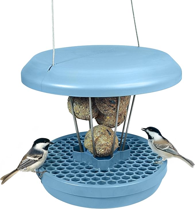 SWISSINNO Bird Feeders - No Mess Fat Ball/Suet Feeder for Outdoors Hanging - Smart Birds Lucerne Spill Proof Wild Cardinal Bird Feeder with Integrated Seed Catcher Tray - Light Blue