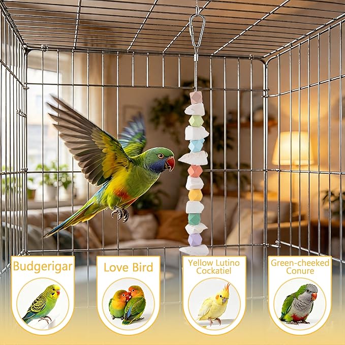 2 Pack Cuttlebone Bird Toys, Beak Grinding Stone Cage Accessories for Parakeets, Budgies, Cockatiels, Lovebirds, Green Cheek Conures, Small to Medium Birds