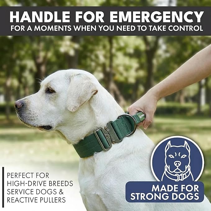 Spark Paws Tactical Dog Collar - Heavy Duty, Premium Quality, Thick and Durable for Large and Medium Dogs - Solid Green - L