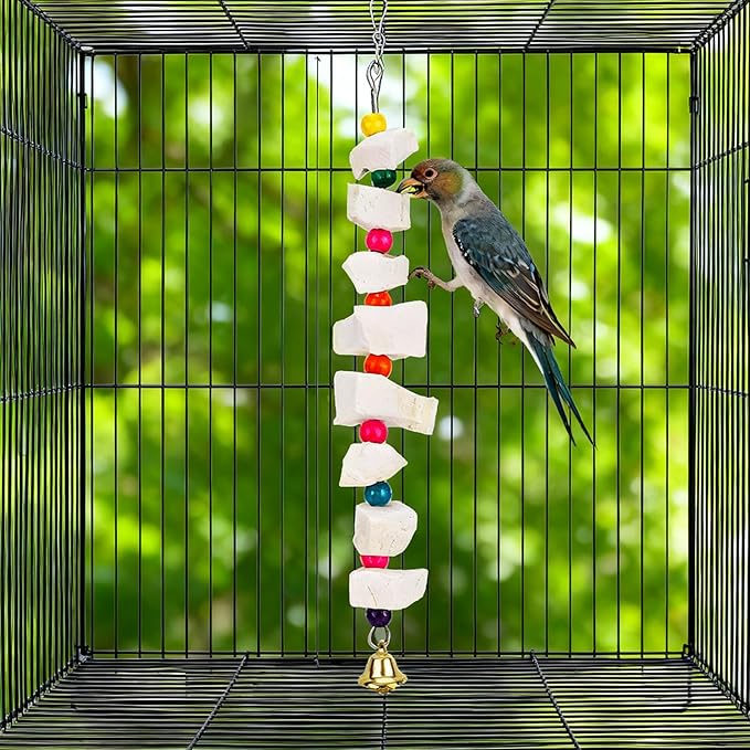 Penitue 2pcs Bird Chew Toys with Calcium Cuttlebone Cuttlefish & Beak Grinding Stone, Natural Perch Cage Accessories for Parakeets, Budgies, Cockatiels Conure Parrot Lovebirds & Small to Medium Birds