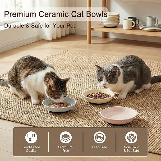 Ceramic Cat Food Bowls 6 Pack – Shallow Cat Bowl with Non-Slip Silicone Base, Whisker-Fatigue Dishes for Indoor Cats – Microwave Dishwasher Safe – 5.3 oz Colorful Pet Plates for Wet Dry Food Water