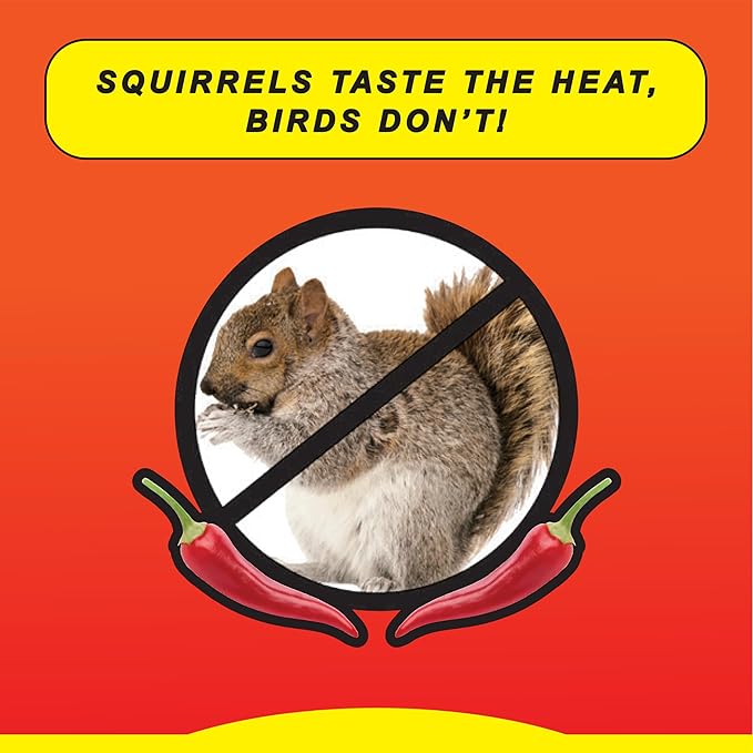 Wild Delight Sizzle N' Heat Bird Food, 5 lb (372050)