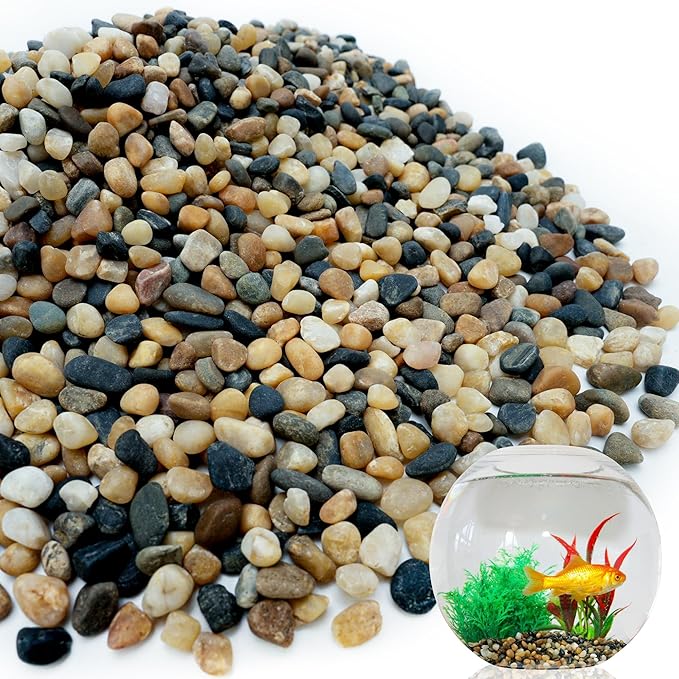 NUPICK 3 lb Aquarium Gravel, 1/4" Ph-Natural Pea Gravel for Fish Tank,Small River Rocks for Plants, Decorative Aquarium Pebbles for Vase Fillers, Landscaping, Succulent, Cactus, Terrarium, Bird Bath