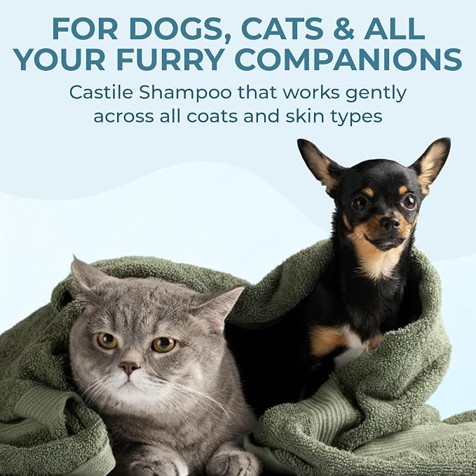 Dr. Jacobs Naturals Castile Pet Shampoo - Gentle Cat & Dog Wash with Pure Castile Soap - Plant-Based Dog Shampoo with Olive Oil, Coconut Oil, Shea Butter, Aloe Vera, Vitamin E - Ocean Breeze