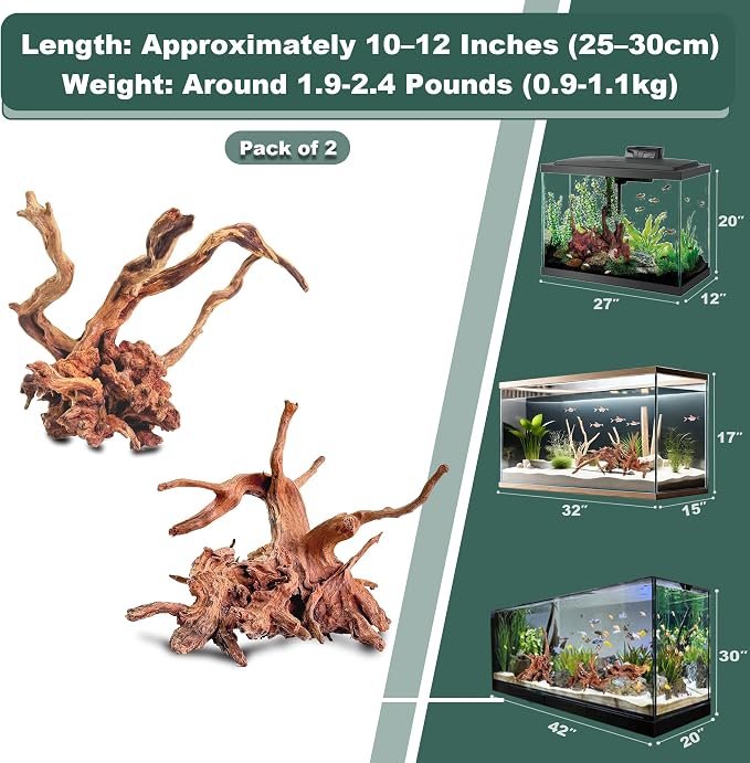 Natural Wood Driftwood for Aquarium Fish Tank Decor,Assorted Driftwood Trunk Branch for Reptile Tank Decor (LLM-Driftwood (10 to 12 Inch)-Pack of 2)