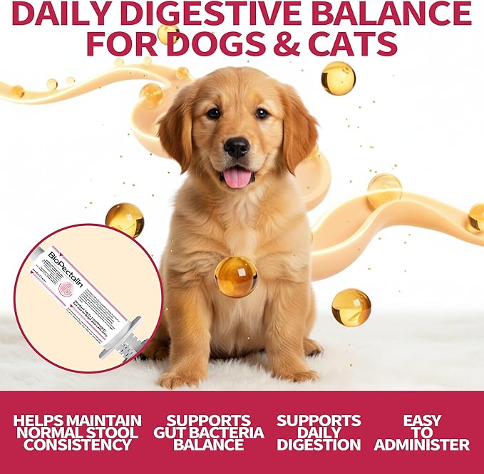 Anti-Diarrheal Support for Dogs & Cats –Digestive Relief Oral Paste with Kaolin, Pectin & Probiotics – Helps Soothe Upset Stomach & Firm Loose Stool – 30cc