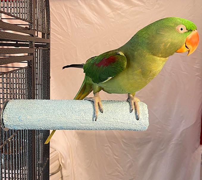 Polly's Pastels Nail Trimming & Beak Conditioning Safety Perch for Cockatiels, Cockatoos, Macaws, Parakeets, Budgies, Parrots and All Other Birds (Blue, X-Large-2" Dia. x 9" Long)