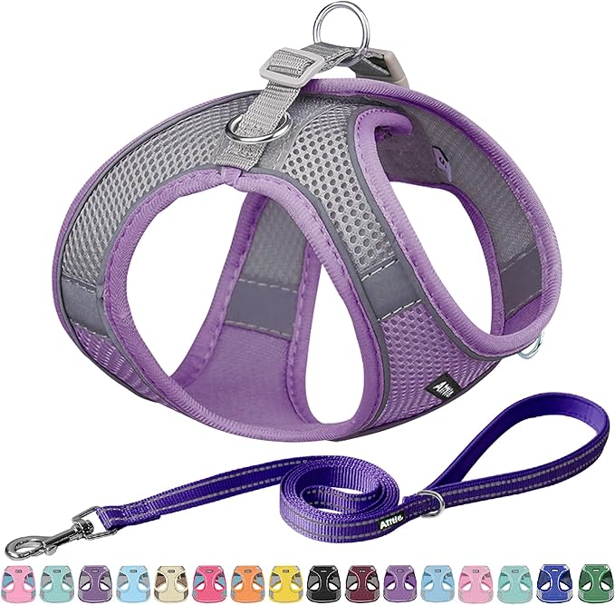 AIITLE Easy Walk Dog Harness and Leash Set - Pet Supply No Pull, Step in Adjustable Dog Harness with Padded Vest, Dog Harness No Choke Over, Easy to Put on Medium Dogs Purple L