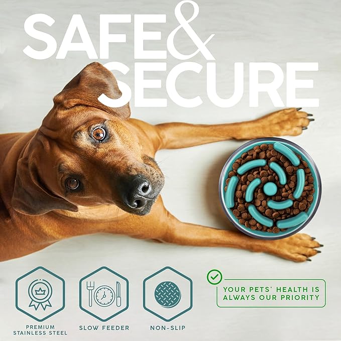 FAHRMOSIS 32 Oz Dog Bowl with Slow Feeder Insert Stainless Steel Pet Water Bowl for Medium & Large Breed Non Slip Rubber Base & Plastic Puzzle Feeder - Teal