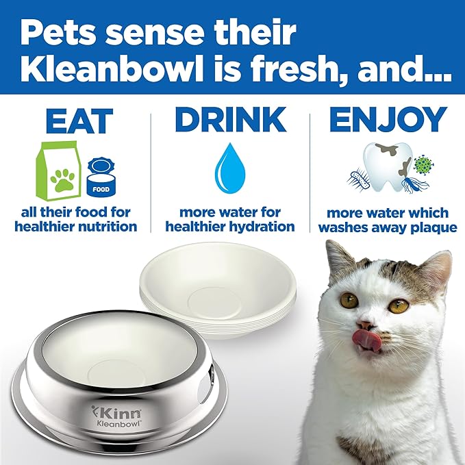 Kinn Whisker Fatigue Cat Bowl, Compostable & Disposable for Food & Water, 24oz (1 Pk) Whisker Friendly Cat Dish for Owners Needing Convenience and Cleanliness in a Pet Bowl