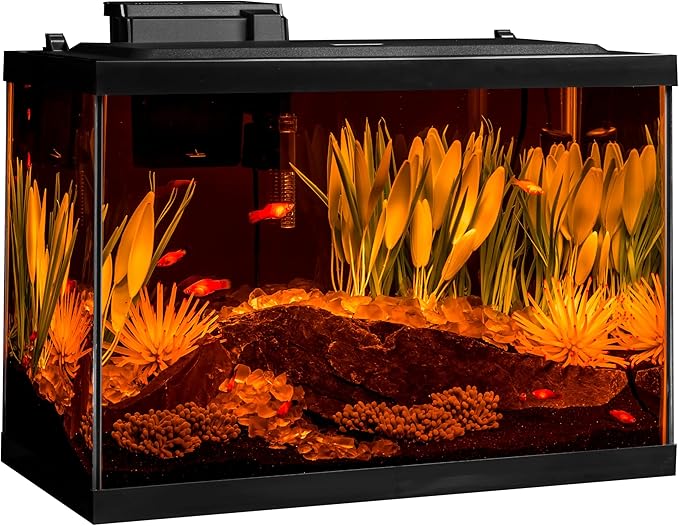 Tetra ColorFusion Aquarium 20 Gallon Fish Tank Kit, Includes LED Lighting and Decor