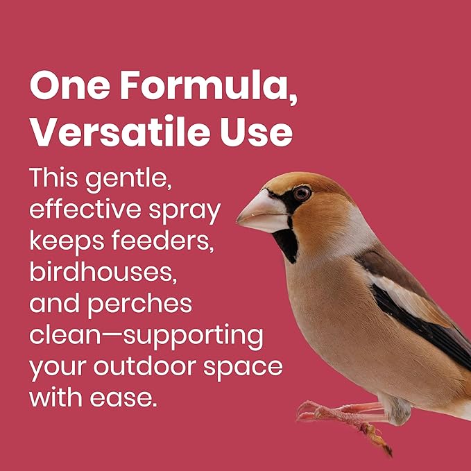 Clean Republic Good Salt Pet Bird Feeder & Bird House Protectant, Natural Bird-Friendly Spray Formula, Made in the USA, 32 Ounce Bottle, 2-Pack