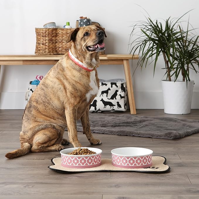 Bone Dry Lattice Collection Pet Bowl & Canister, Large Set, 7.5x2.4 inches, Rose, 2 Piece