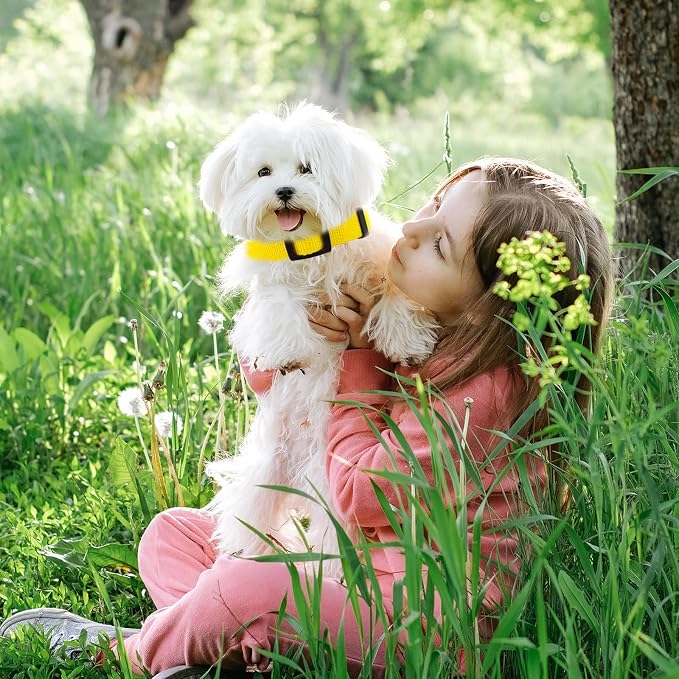 Yellow Dog Collar and Leash Set for Medium Size Dog, Breathable, Anti-Odor & Soft, Comfortable for Sensitive Skin Puppies, 90% Bamboo Rayon, Adjustable Quick-Release Buckle Pet Collar