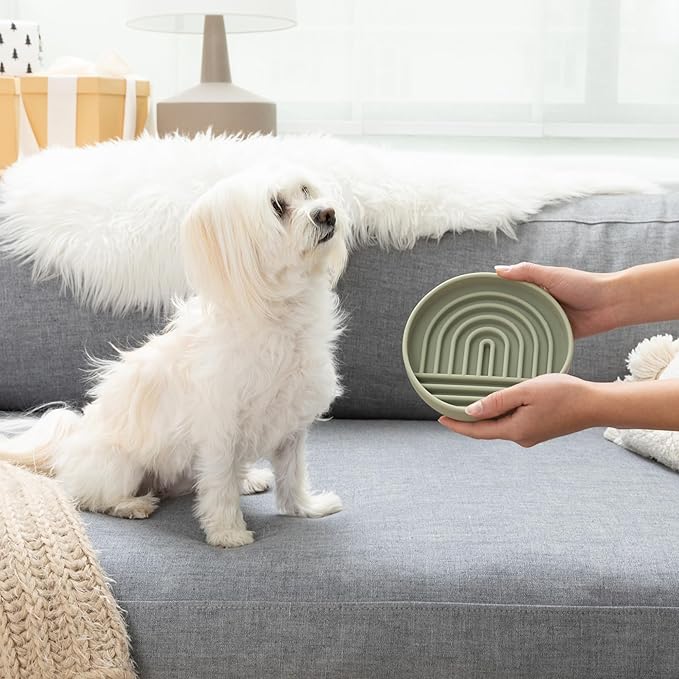 Should We Go? Slow Feeder for Dogs & Cats, The Slowdown Bowl Silicone Slow Eating Mealtime Solution with Modern Lick Mat Design, Reduces Gulping, Fits 1 Cup, 6” Across x 1.25” Tall, Small-Sage