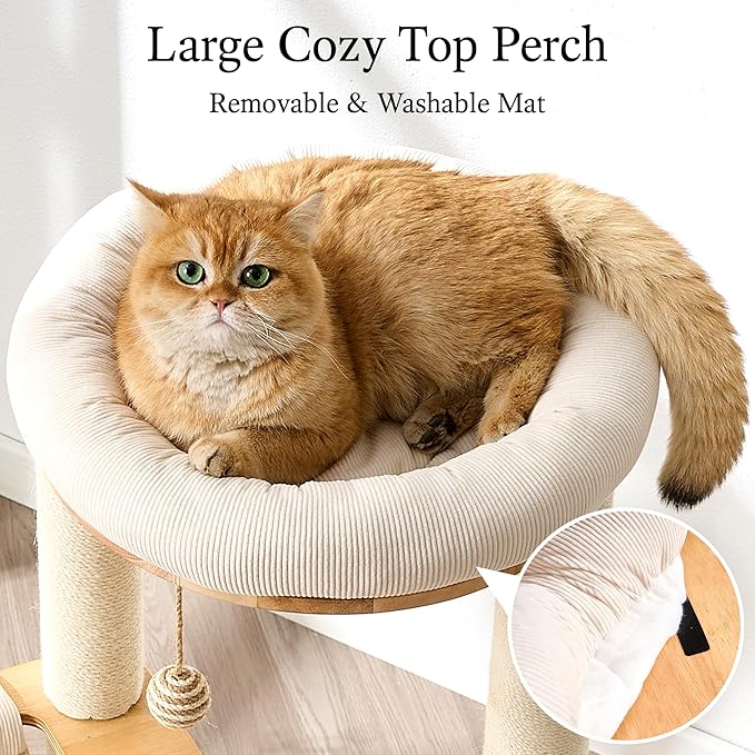 797Audio Modern Wood Cat Tree Tower, 49" Cat Tree with Sisal Scratching Posts, Capsule, Hammock and Scratch Pad for Indoor Cats, Solid Rubber Wooden Cat Tree, Multi-Level Tree for Large Adult Cat