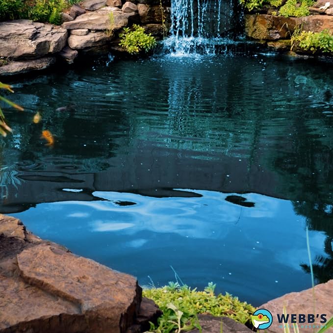 Webb's Water Gardens Essential Tap Water Conditioner Dechlorinator - Ideal for Ponds, Freshwater & Aquariums - Concentrated Formula for Dechlorinated Water - Liquid Supplies for Aquatic Pets - 32oz
