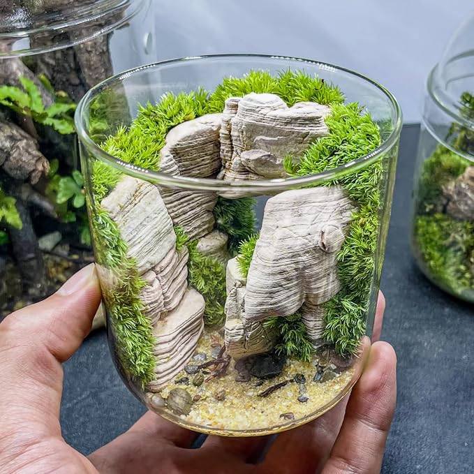 Natural Rocks Pagoda Stones 1-2.5 Inches Decorative Rocks for Fairy Gardens,Miniature Landscaping,Bonsai,DIY Crafts, Aquariums & Reptile Terrariums-2lb