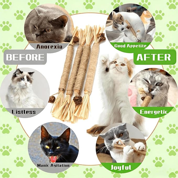 9PCS-Cat Chew Toy, Cat Toys for Indoor Cats with Silvervine Sticks, Safe Teeth Cleaning Chew Toys (Model 1)