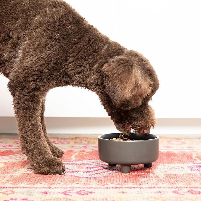 Waggo Uplift Ceramic Dog Bowl for Small Medium and Large Breeds - Heavyweight and Durable Pet Food and Water Dish Crock, Dishwasher Safe, Modern, Elevated Feeder (Speckle, Small)