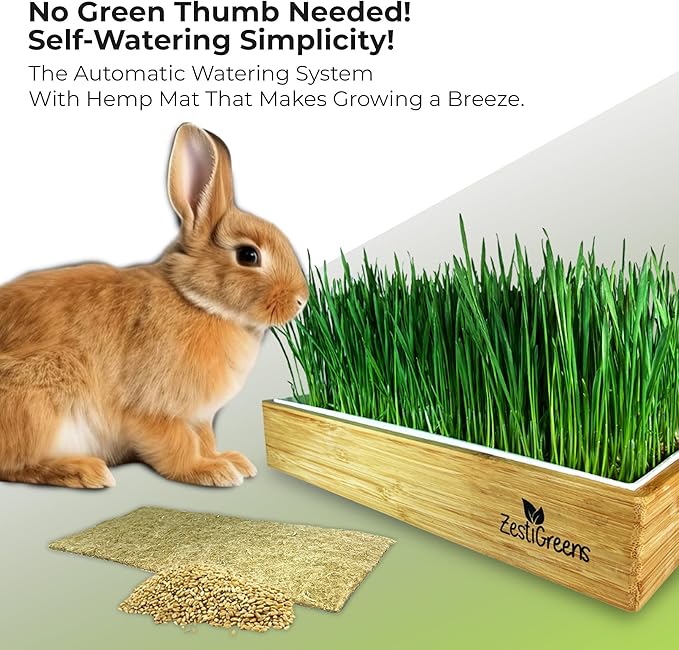 Rabbit Grass Growing Kit – Easy, Self-Watering System for Fresh, Healthy Indoor Greens