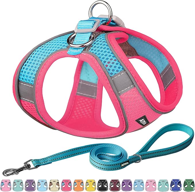 AIITLE Easy Walk Dog Harness and Leash Set - Pet Supply No Pull, Step in Adjustable Dog Harness with Padded Vest, Dog Harness No Choke Over, Easy to Put on Medium Dogs Hot Pink L