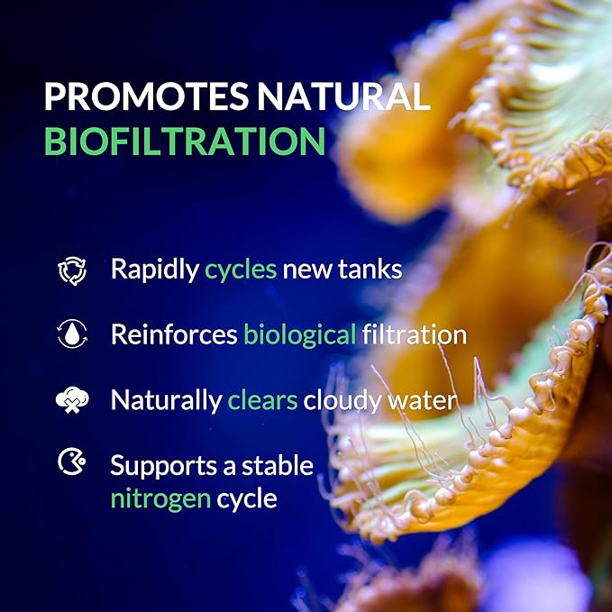 Saltwater Complete – Live Nitrifying Bacteria Blend for Saltwater & Reef Aquariums - Instant Cycle Marine Tank Starter - Removes Ammonia Nitrite - Clarifier - Safe for Fish Coral Invertebrates - 12oz