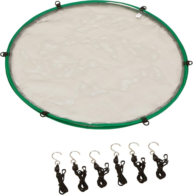 Songbird Essentials SEIA30024 Seed Hoop Seed Catcher & Platform Feeder