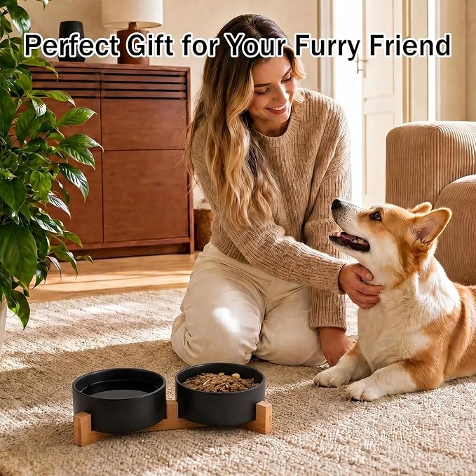 MateeyLife Ceramic Dog and Cat Bowls with Stand, 2-Pack Food and Water Bowl Set - Non-Slip Pet Bowls for Cats,Puppies and Small Dogs, 13.5OZ（Black）
