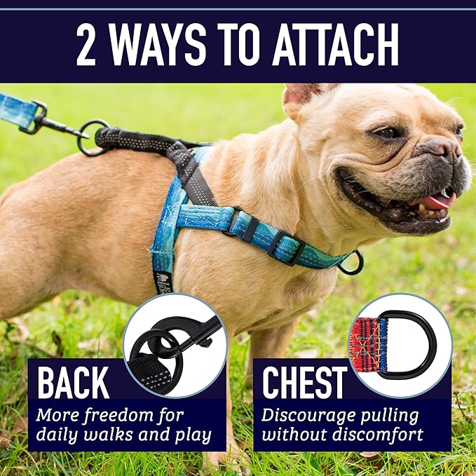 Leash Boss No Pull Dog Harness, Easy Walk for Small, Medium, and Large Pets, Reflective with Rear and Front Clip Attachment (Wave Pattern, Small)