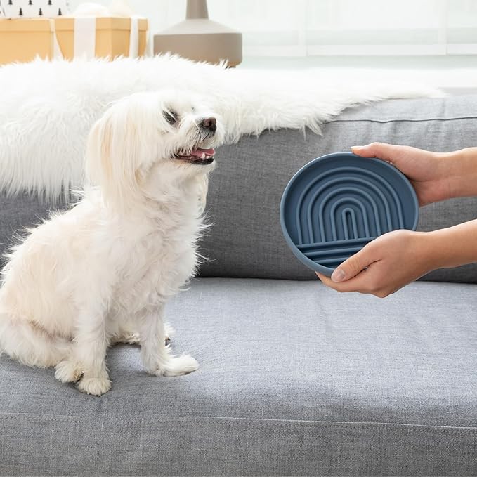 Should We Go? Slow Feeder for Dogs & Cats, The Slowdown Bowl Silicone Slow Eating Mealtime Solution with Modern Lick Mat Design, Reduces Gulping, Fits 1 Cup, 6” Across x 1.25” Tall, Small-Ocean