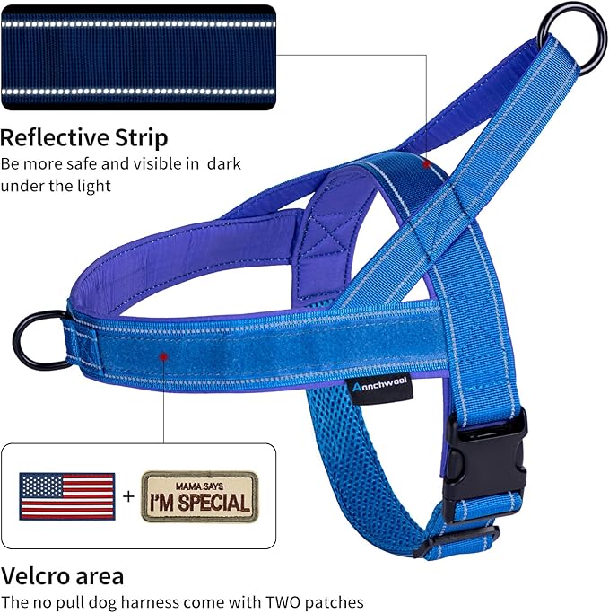 Annchwool No Pull Dog Harness with Padded Handle+5 Ft Leash,Reflective Strip Escape Proof and Quick Fit to Adjust Dog Harness,Easy for Training Walking for Small & Medium and Large Dogs(Blue-Set,M)