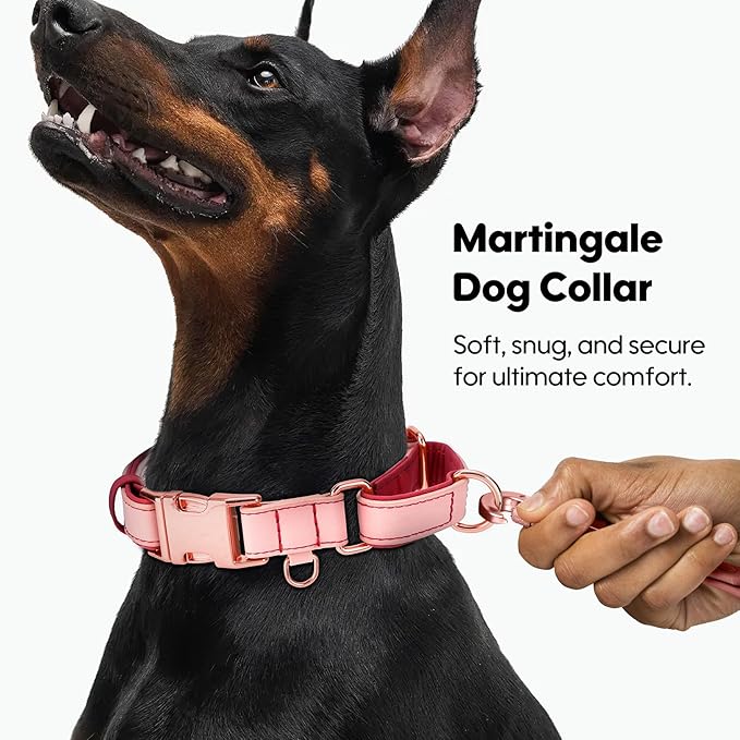 WHIPPY Vegan Leather Dog Collar No Slip Martingale Dog Collar with Quick Release Metal Buckle